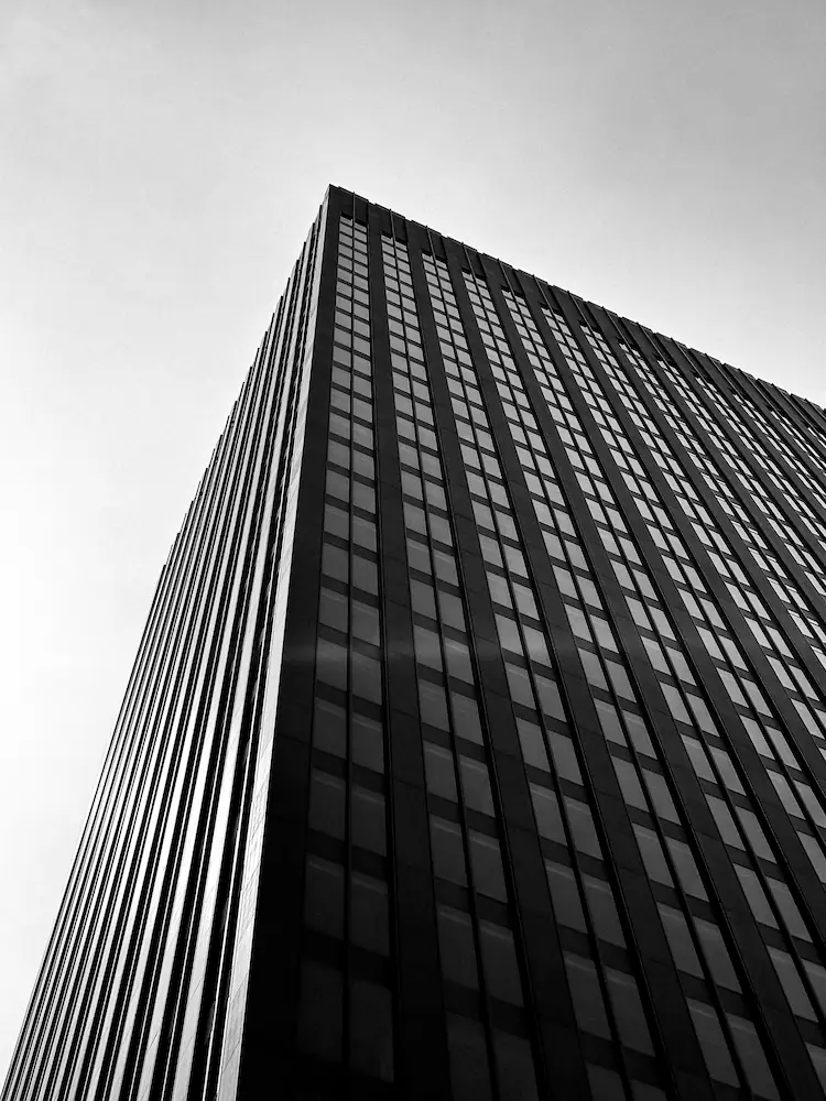 Brand architecture, portfolio structure and business transformation